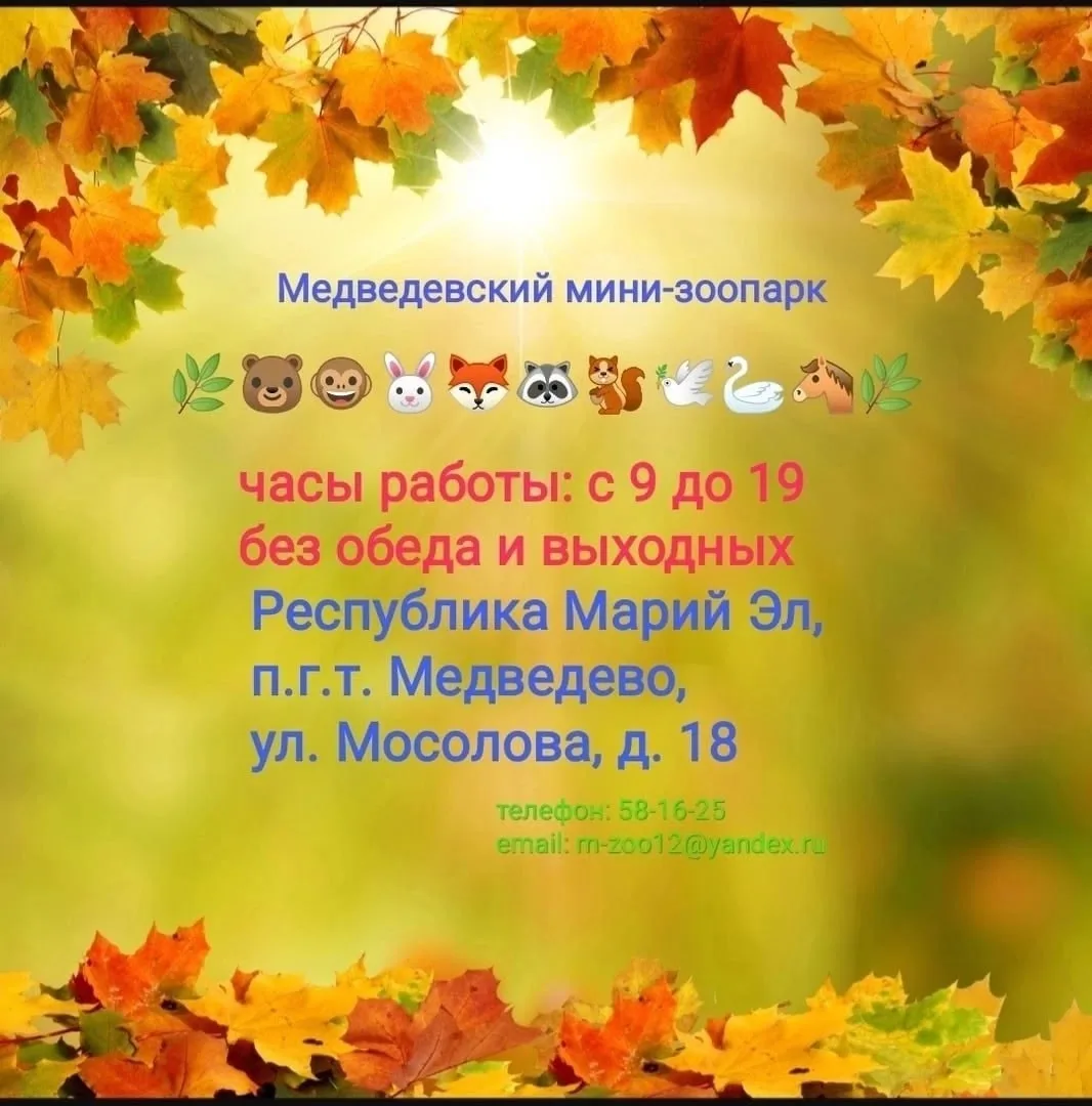 🍁 ИЗМЕНЕНИЕ РЕЖИМА РАБОТЫ МИНИ-ЗООПАРКА🍁