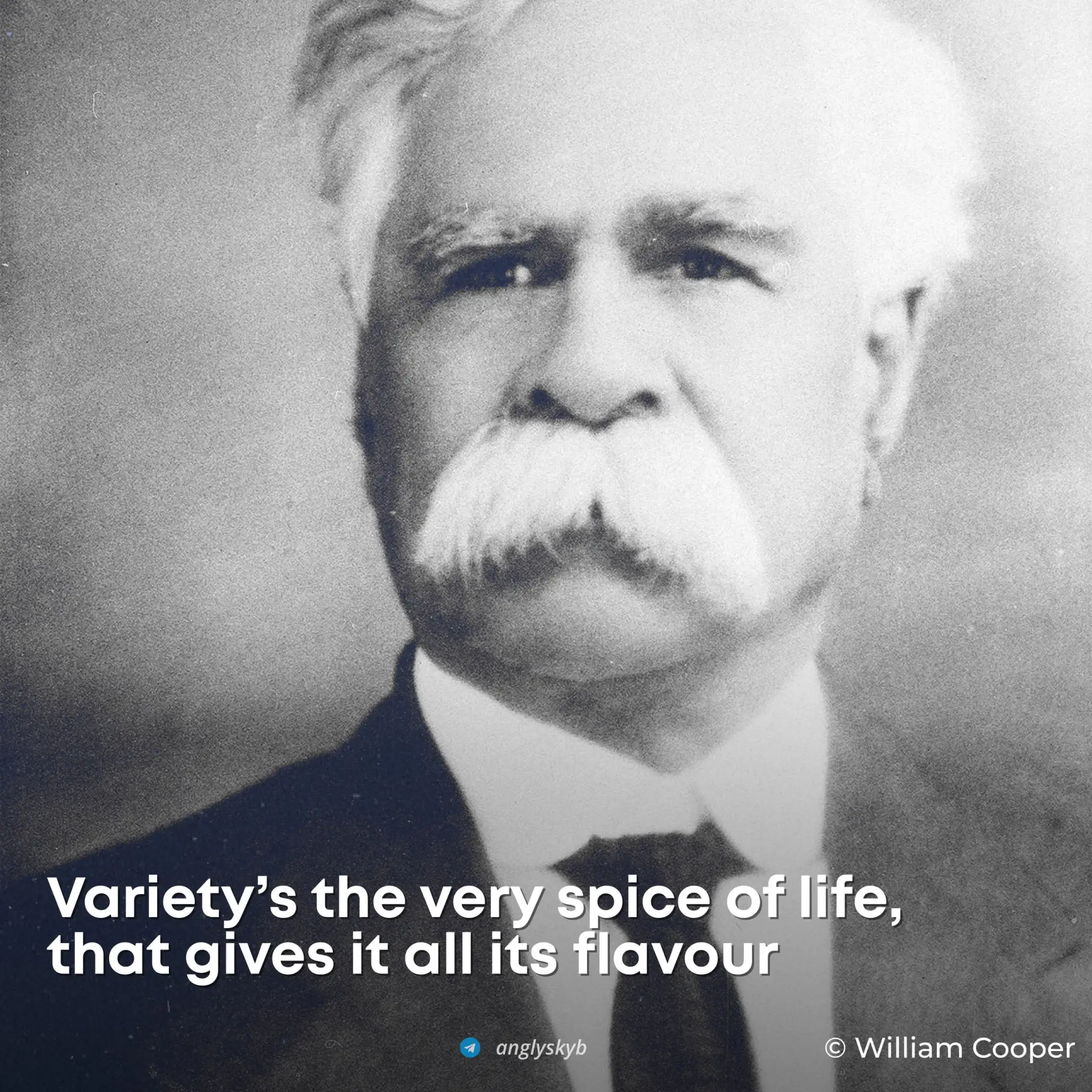 • Variety [vəˈraɪətɪ] - Разнообразие