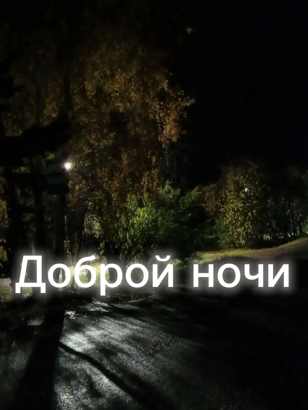 Вокруг дома уснули до утра,