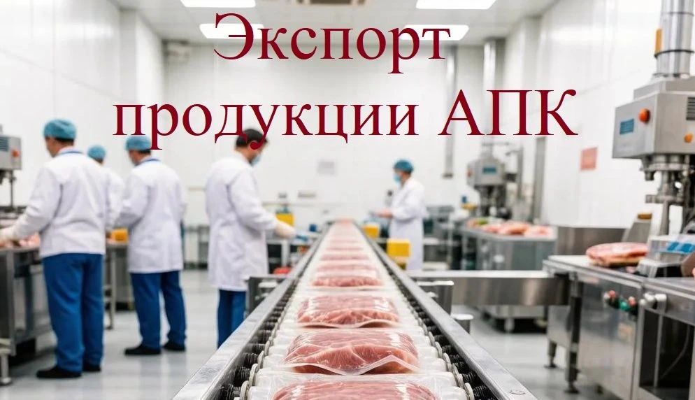 Наши продукты — на мировой стол: три мясокомбината области получат поддержку для экспорта.