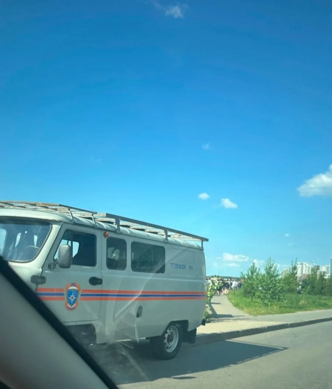 Сотня котов осталась без крыши над головой из-за пожара в шаурмечной в Елабуге.