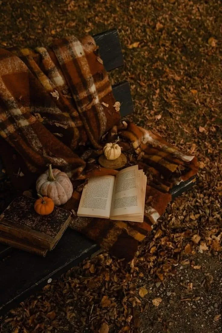 🍂С 1 СЕНТЯБРЯ, МОИ ДОРОГИЕ!🍂