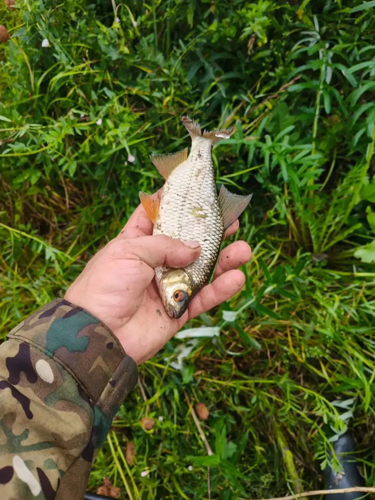 Ольховский, бесплатный канал🐠

Прислать фотоотчет

Связь с Админом