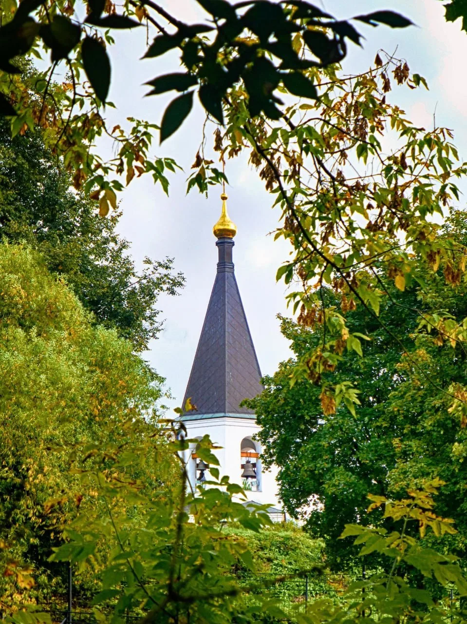 ❤️ Осенняя прогулка вдоль реки