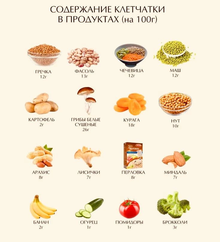 Почему без продуктов, содержащих клетчатку,нам сложно здорОво похудеть?🍐 🍞🫘🌰🍄‍🟫