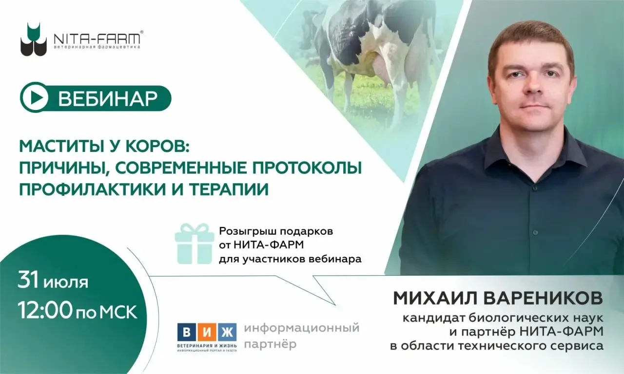 Маститы: причины возникновения, современные протоколы профилактики и терапии
