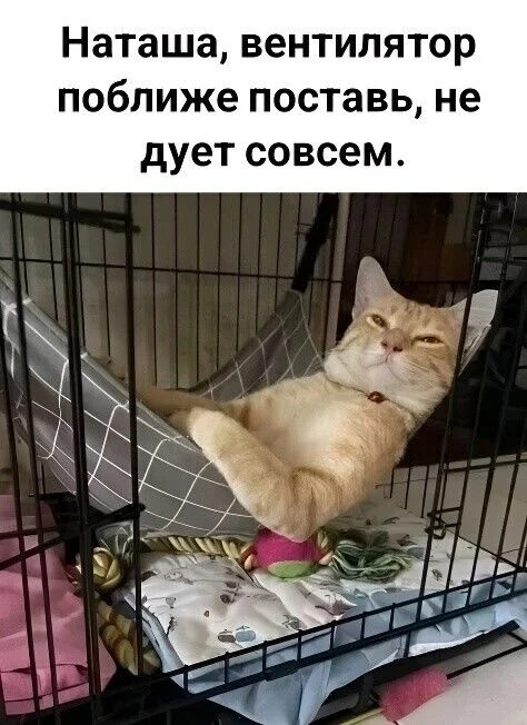 Дядя Стёба