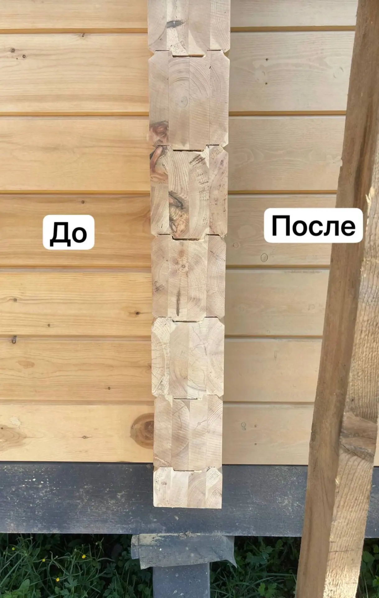 Пинотекс)) давно забытый старичОК)) вроде жив еще