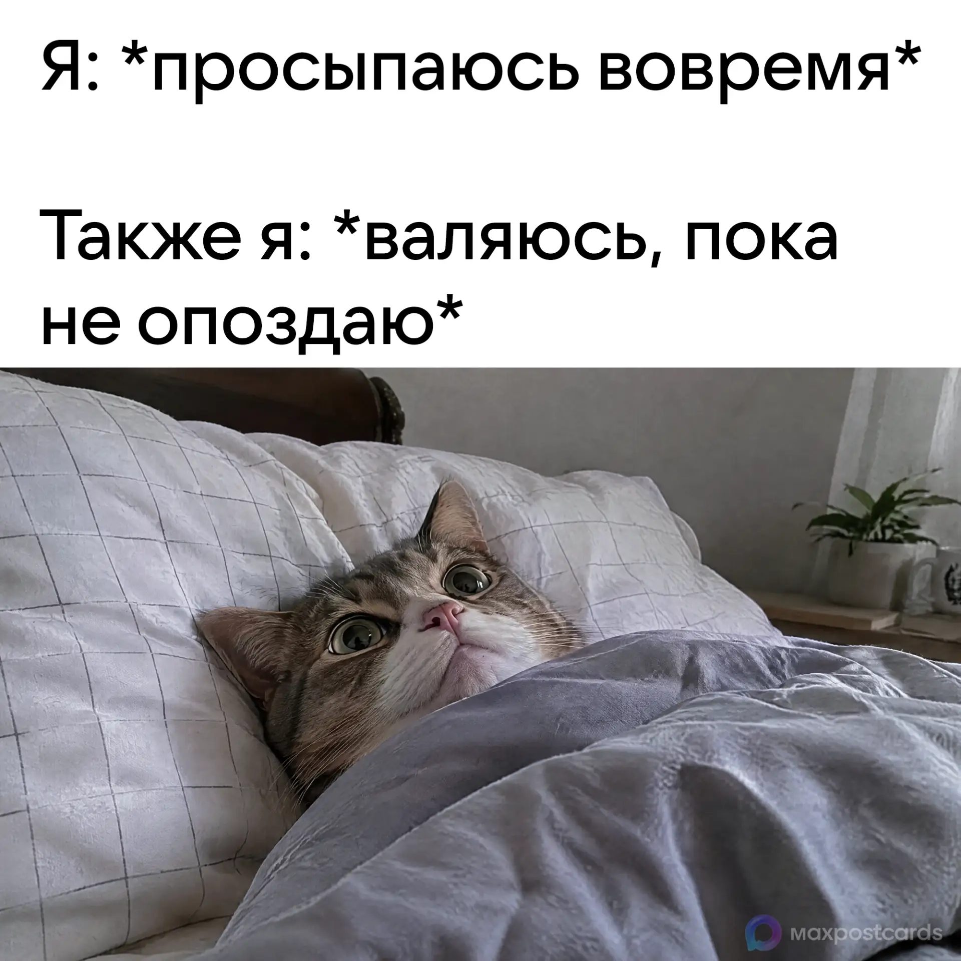 Будем честны, я просто не хочу работать 😐
