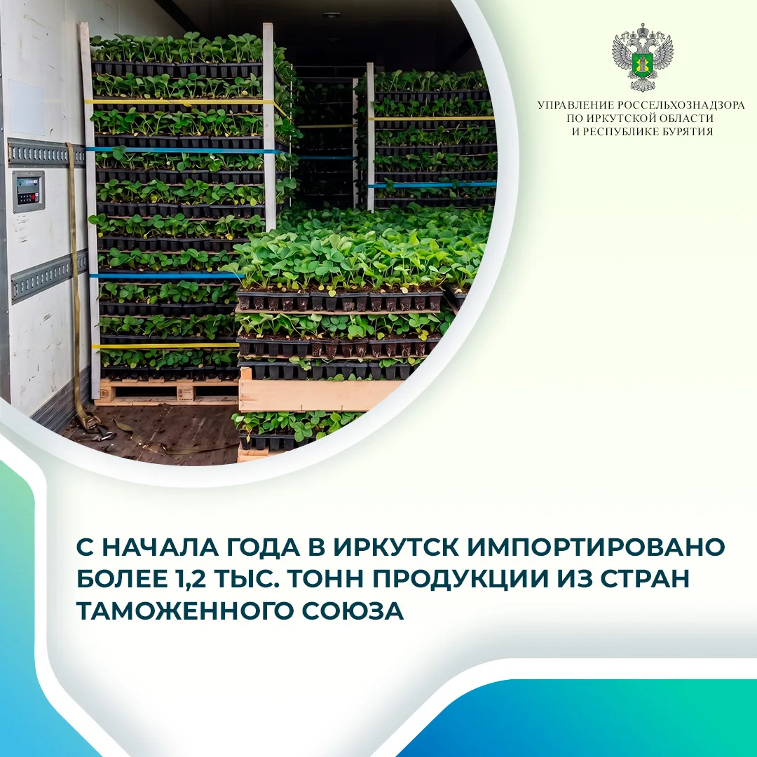 За первое полугодие 2026 года, по данным ФГИС «Аргус-Фито», в Иркутск из государств — членов Таможен