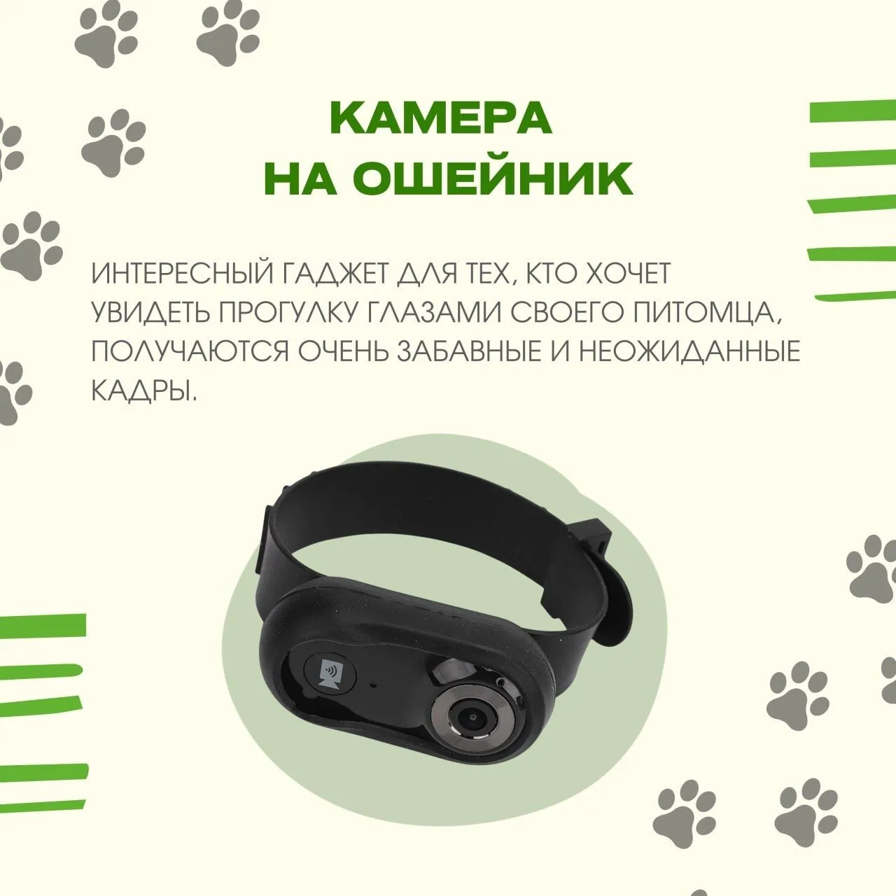 Хвостик будет доволен: полезные находки для прогулок 🐾