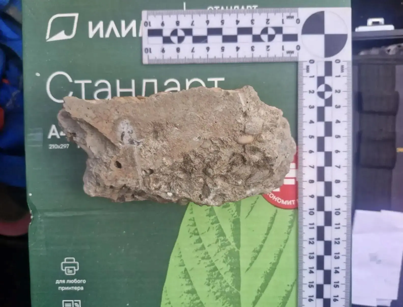 В Астрахани заступившегося за девушку мужчину жестоко избили камнем

Попытка защитить девушку оберну