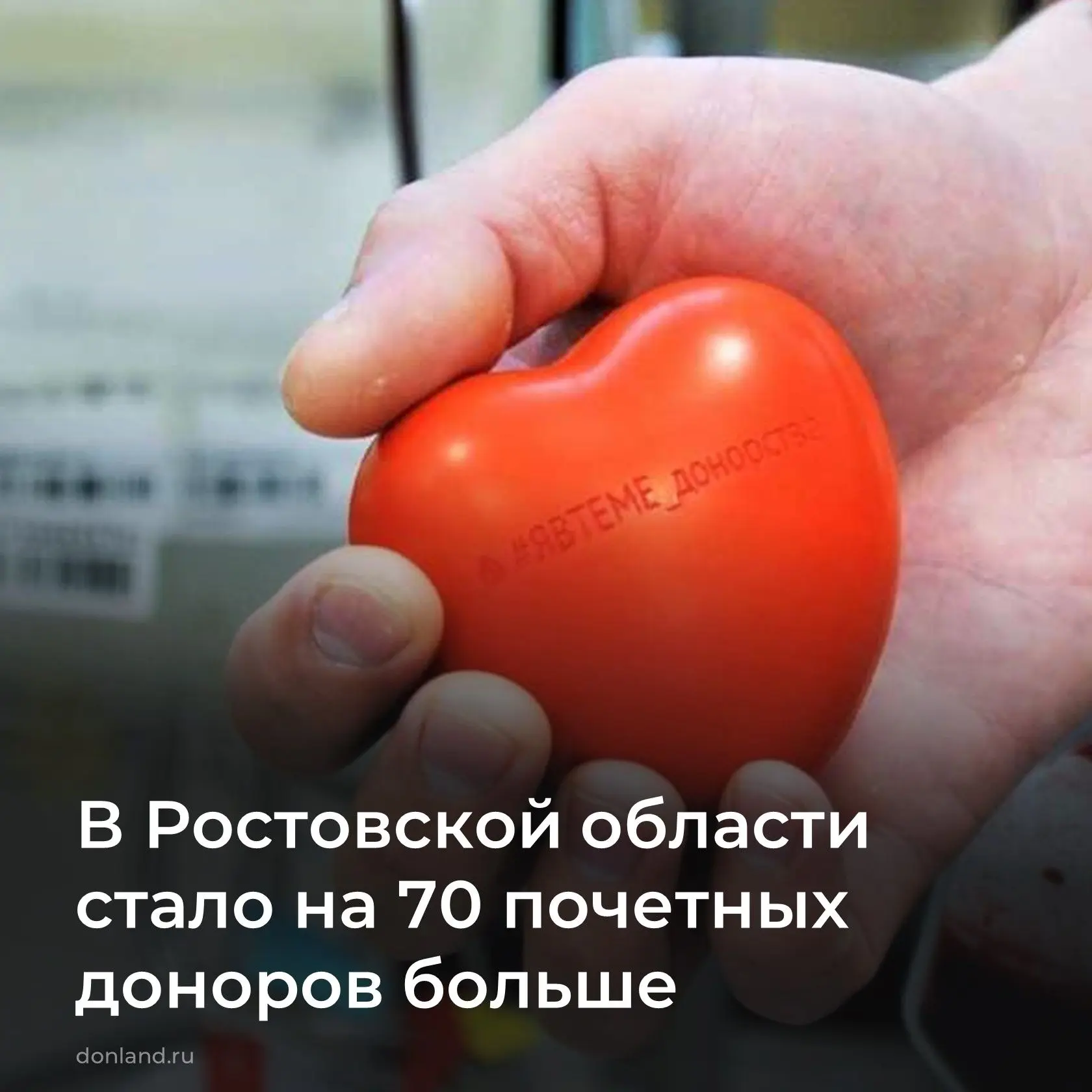 Губернатор Ростовской области Юрий Слюсарь подписал распоряжение о присвоении звания «П...