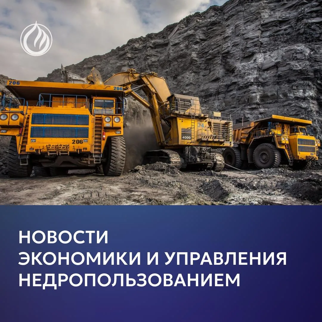 🔹 С 2028 года для недропользователей изменится порядок удаления лесных насаждений при ...