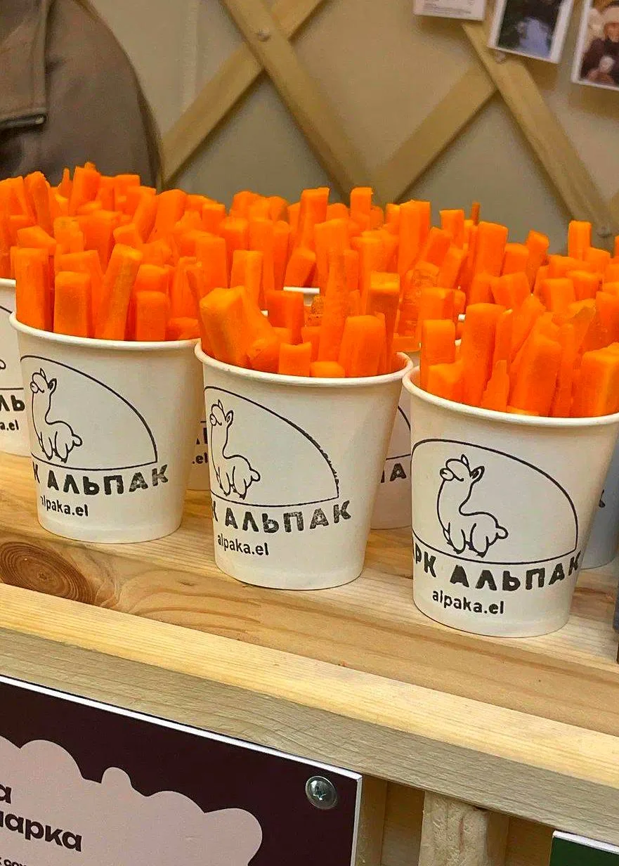 Парк с милыми альпаками🦙  🗓 Пн-Вс 11:00-21:00 📍 ЛО, деревня Мистолово, курорт Охта Парк  💵 от 1200 ₽