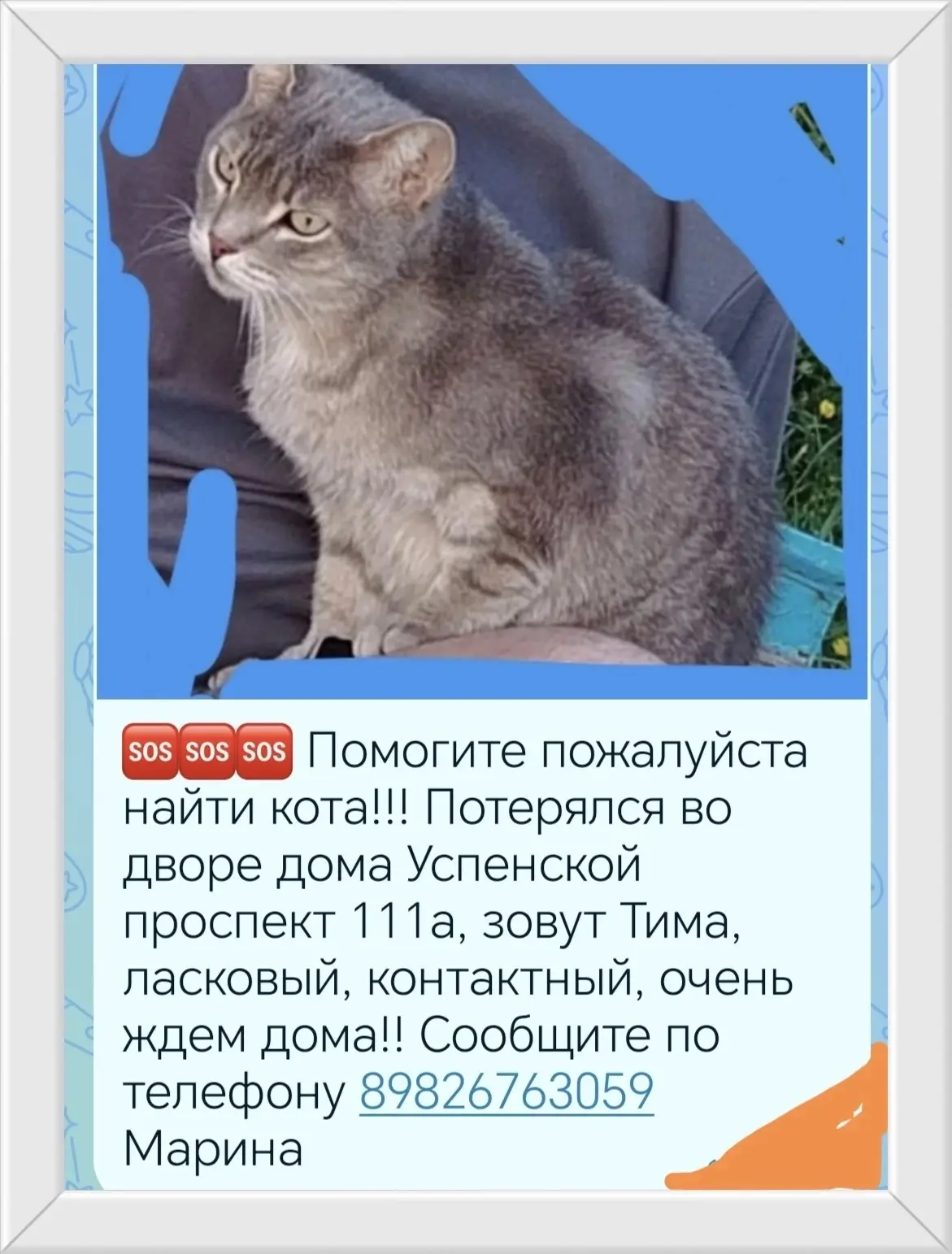 Потерялся кот, окрас серый (Свердловская область, Верхняя Пышма)