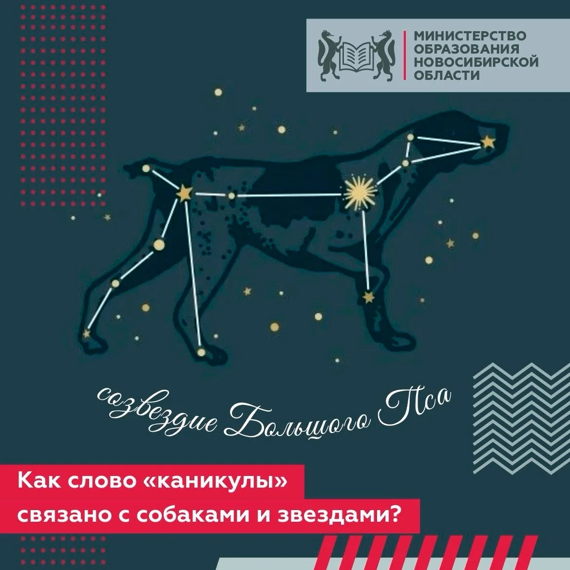 Все мы любим каникулы, но мало кто знает, что этим словом мы обязаны… собаке