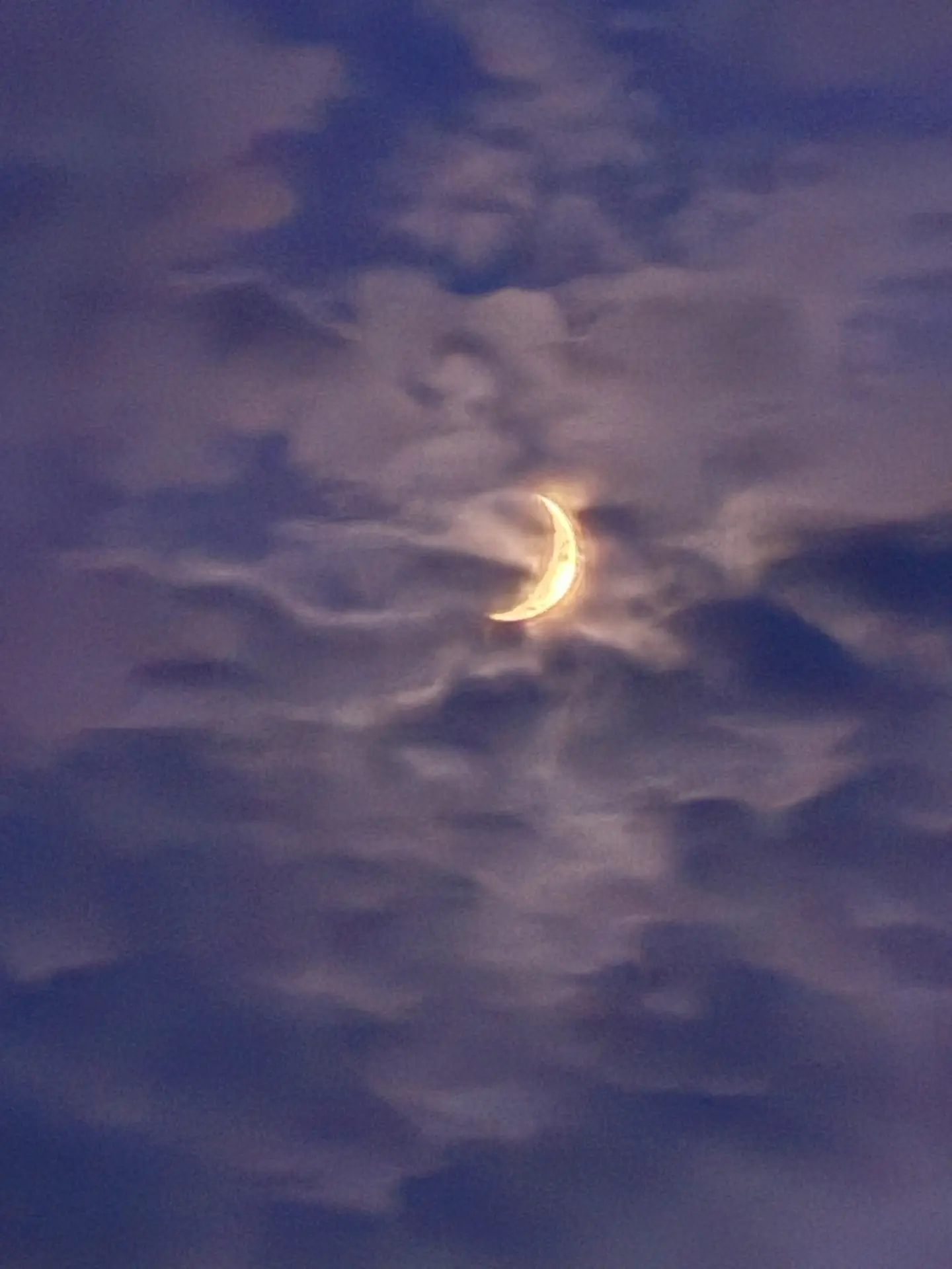 🌙