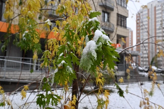🌧❄ Оренбуржцев ждет промозглая погода: дождь и мокрый снег