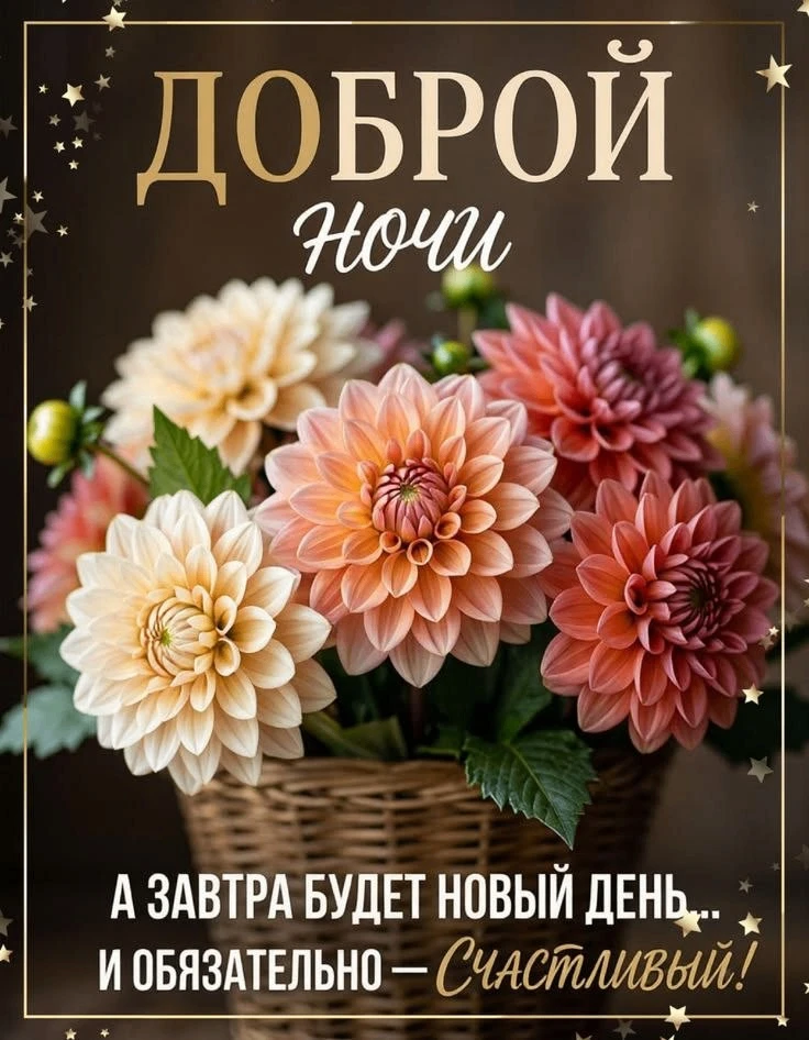 Делитесь открыткой с друзьями и поддерживайте реакцией
