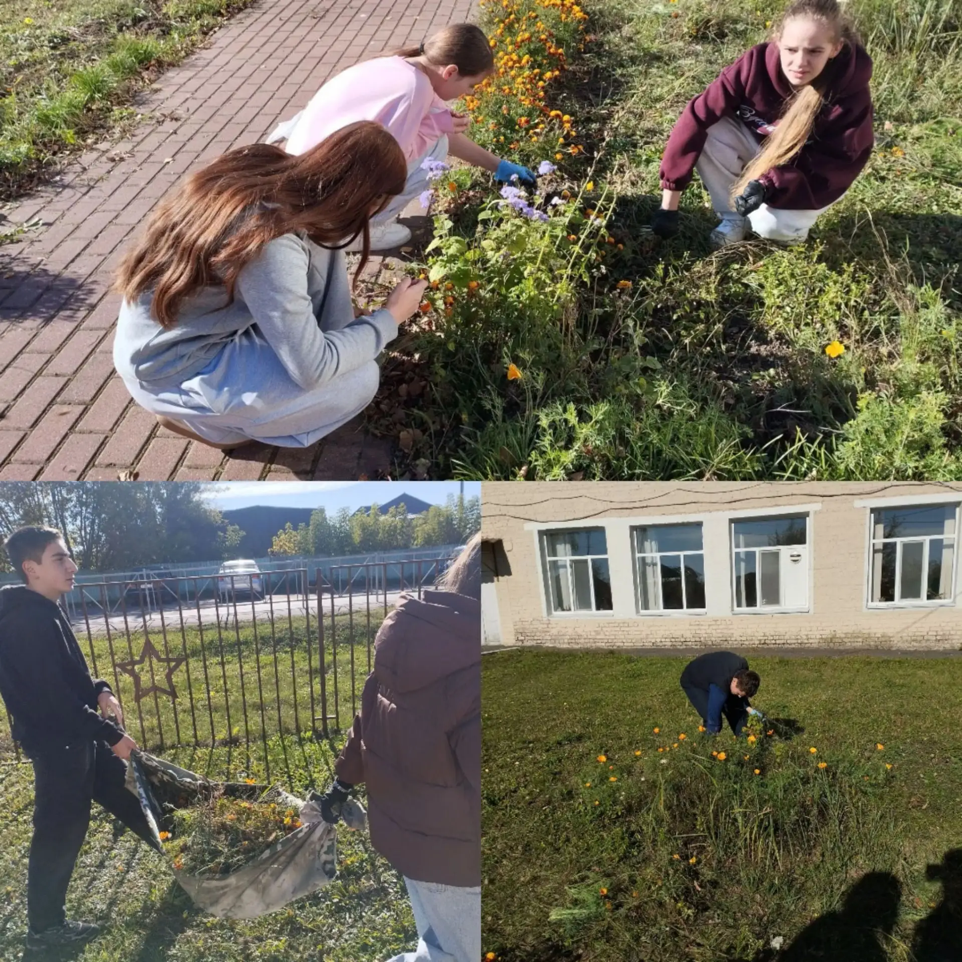 🌿 ОСЕННИЙ ТРУДОВОЙ ДЕСАНТ: ШКОЛА СТАНОВИТСЯ ЧИЩЕ И КРАШЕ 🌿