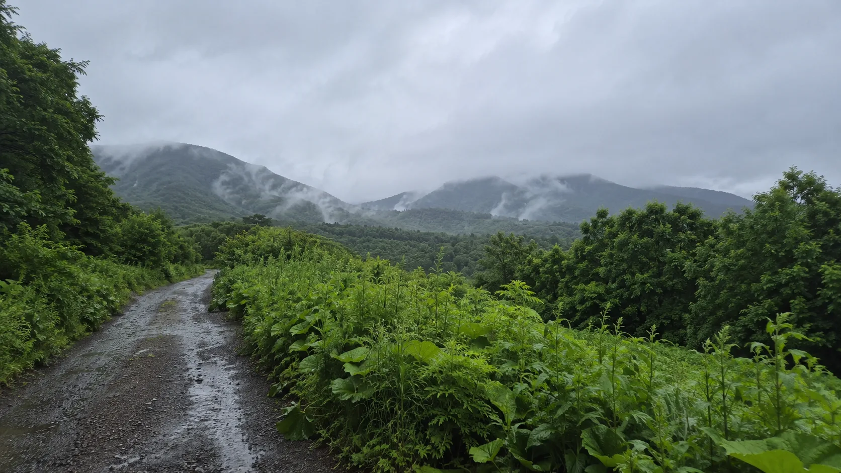🌦️ Доброе утро, Сахалин и Курилы!

Сегодня, 30 июля, в северных и центральных районах острова сущес