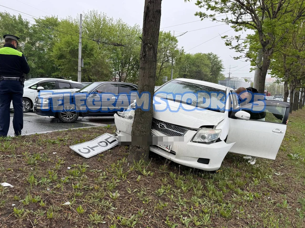 Во Владивостоке на Проспекте Столетия автомобиль вылетел с дороги и врезался в дерево  Со слов водит