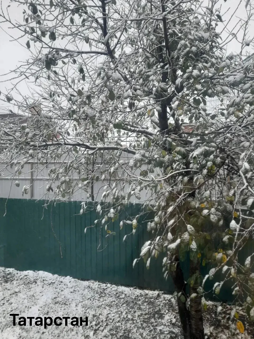☃ Снег выпал в российских регионах.