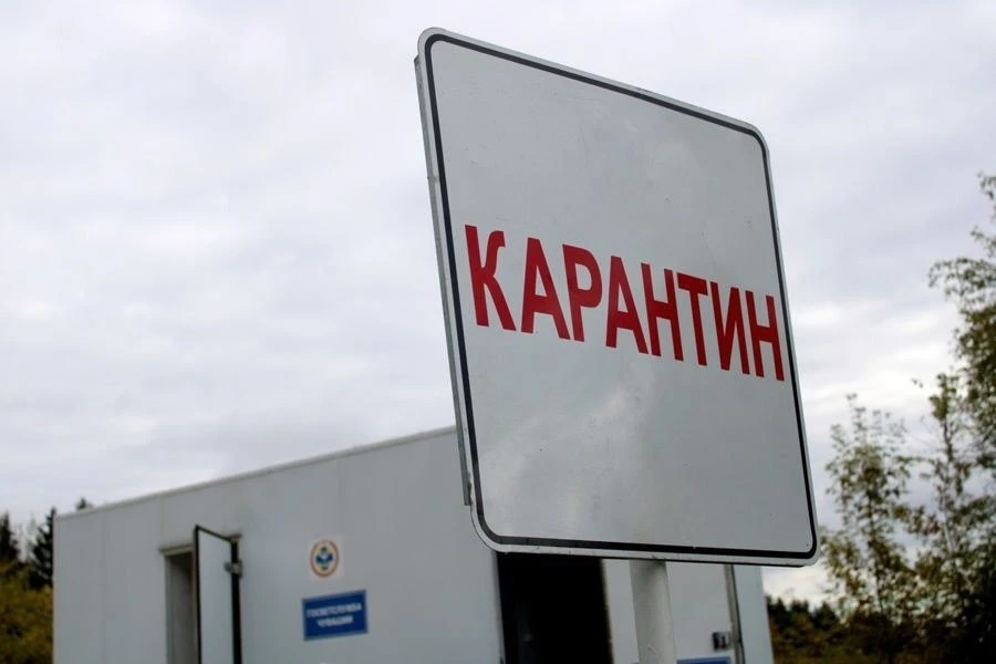 В Цивильском районе ввели карантин по бешенству. Опасный вирус выявили у кошки из дерев...