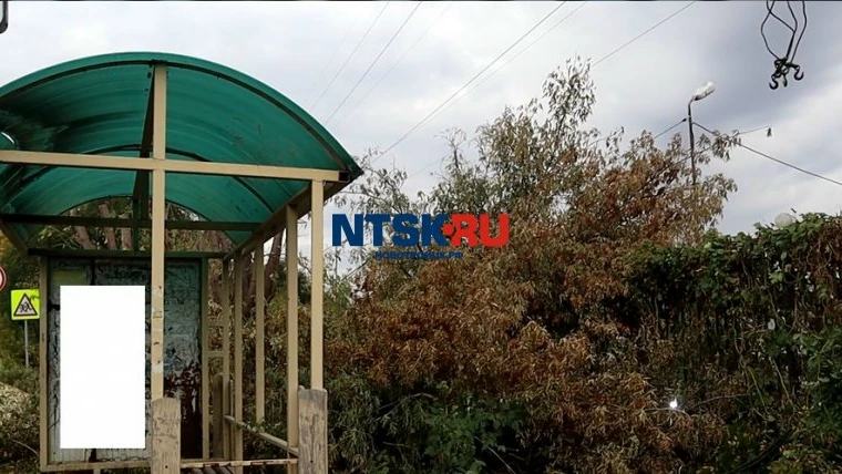 Волшебные слова Олега Папунина