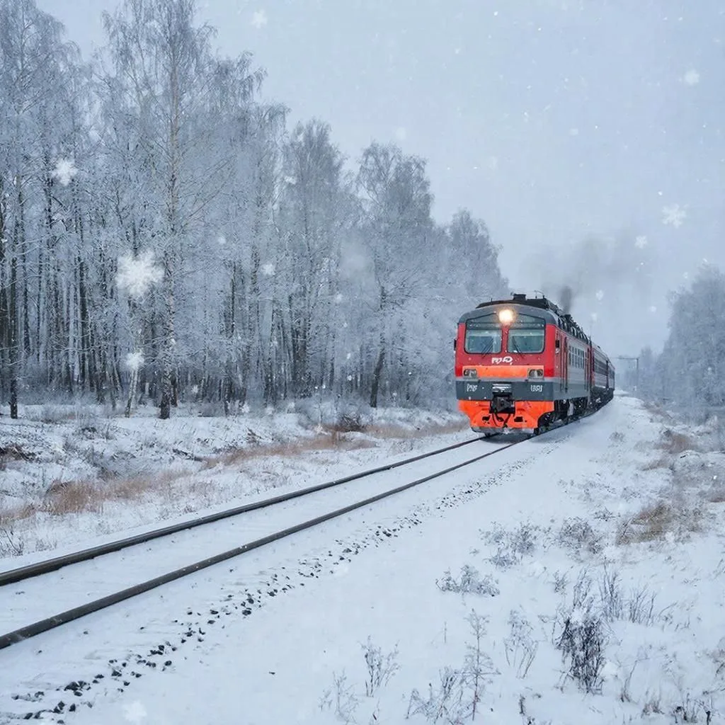 🚊ОАО «РЖД» объявляет конкурс на предоставление грантов для молодых учёных на проведени...