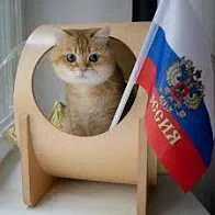 С Днём флага России 🇷🇺
