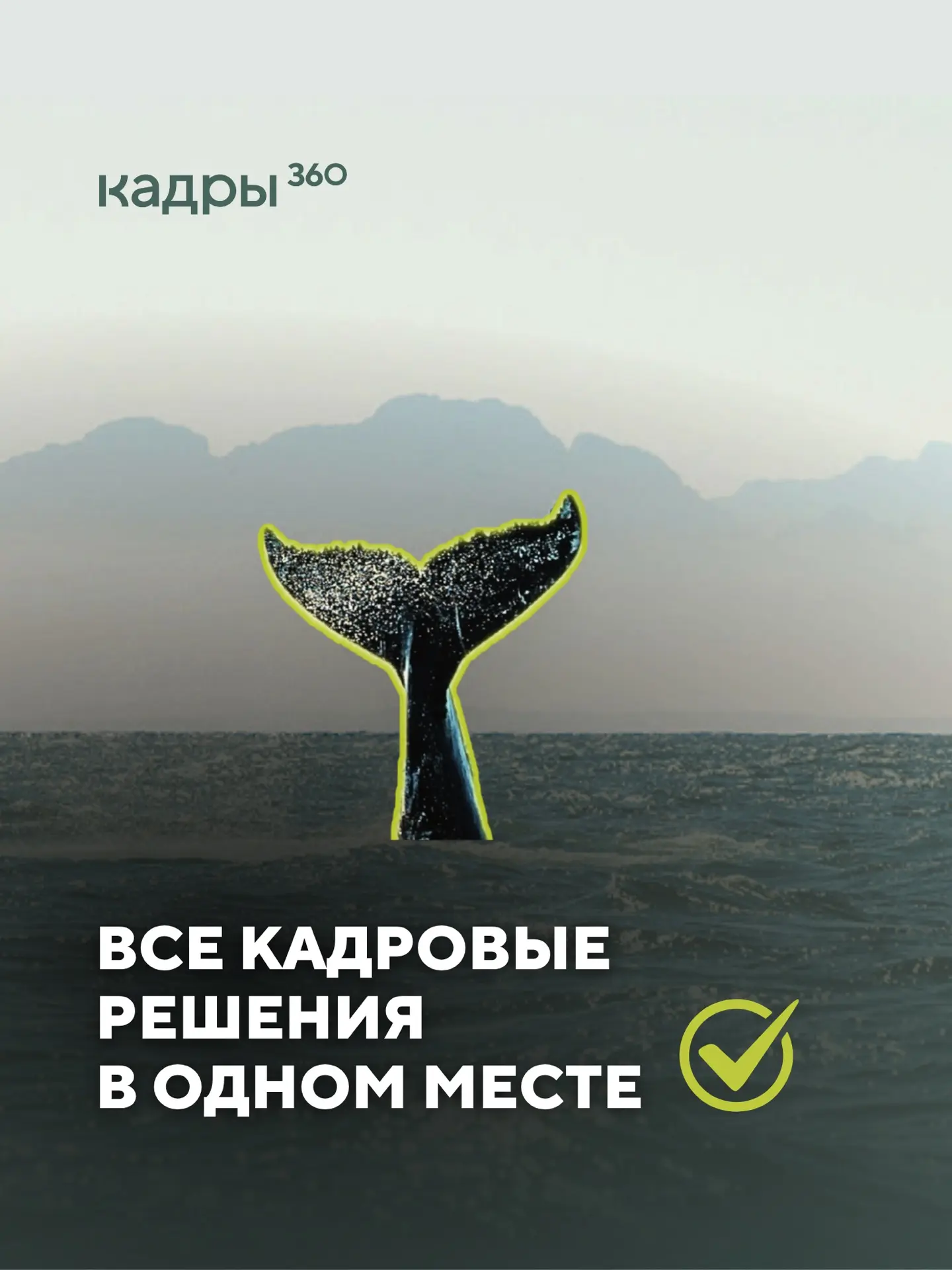 Кадровые решения без хаоса — это реально 💯