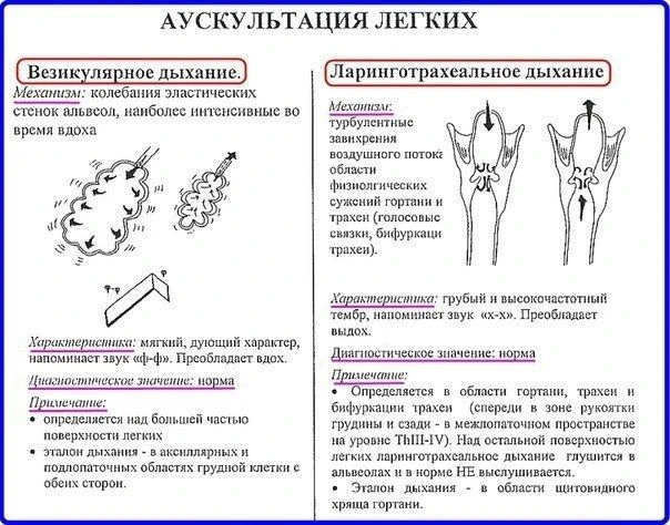 Аускультация легких