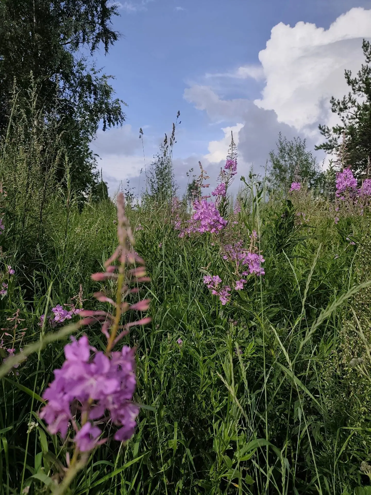 Доброе утро ☀️
Желаем всем бодрого начала недели, новых достижений и только добрых новостей!

📸 Нат