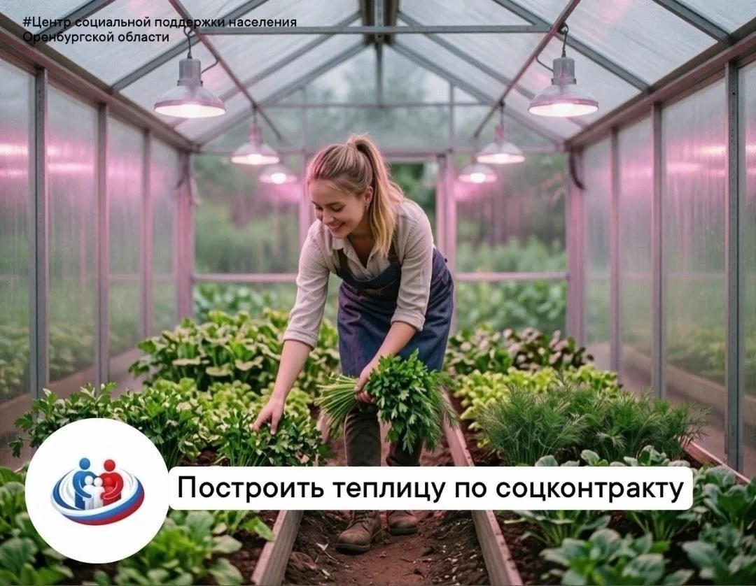 Социальный контракт на развитие личного подсобного хозяйства (ЛПХ) даёт до 200 000 руб....