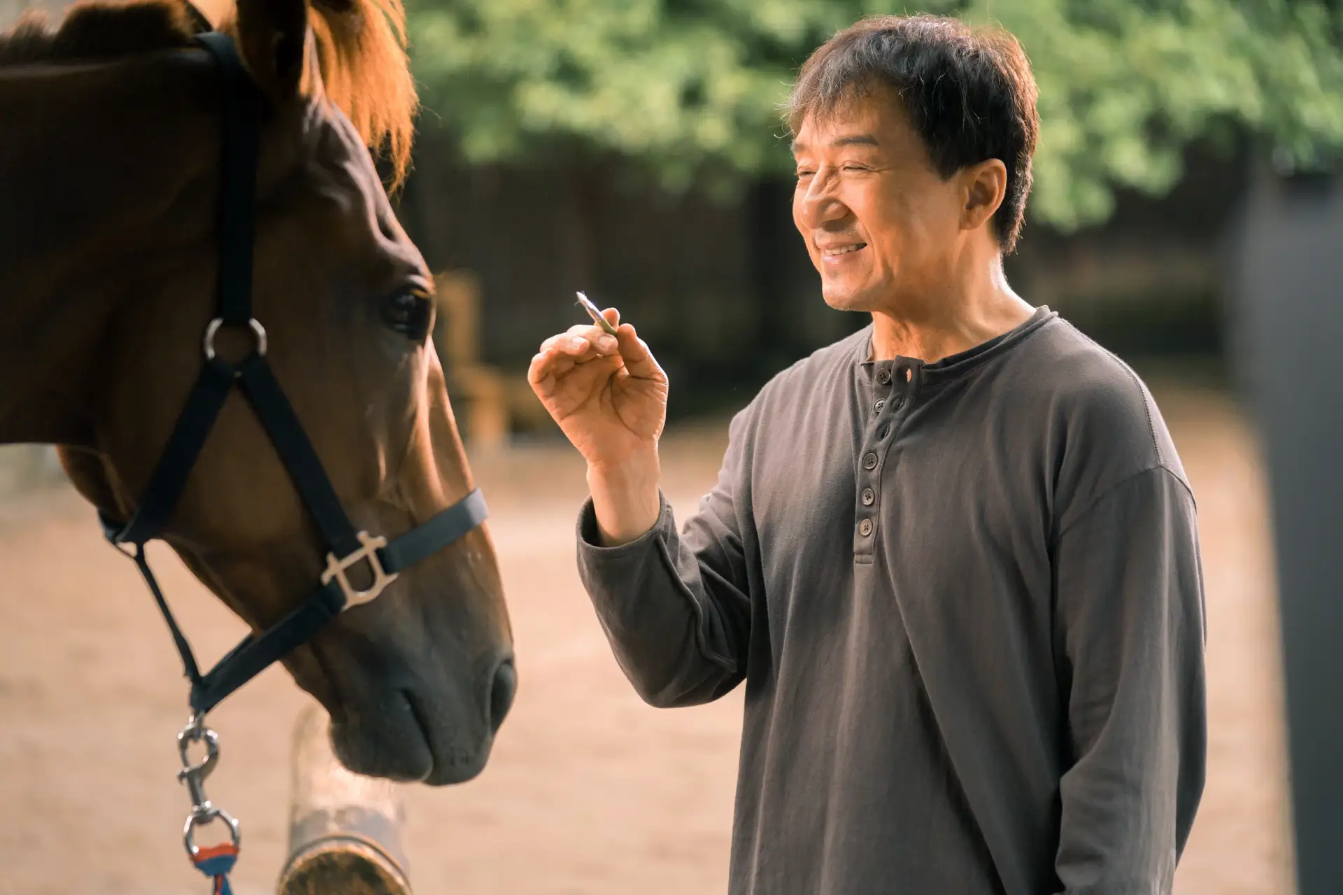 Кунг-фу жеребец (2023) Long ma jing shen ⚡ 12+  🐴 Драма, комедия, боевик  В прошлом востребованный г