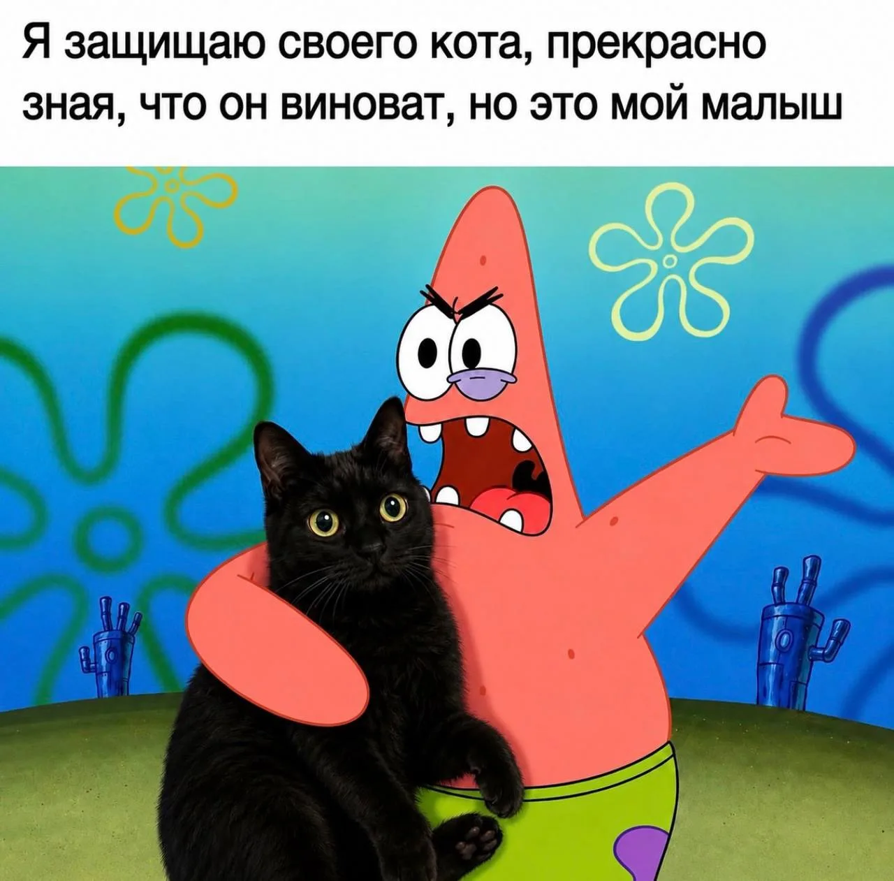 @memachh