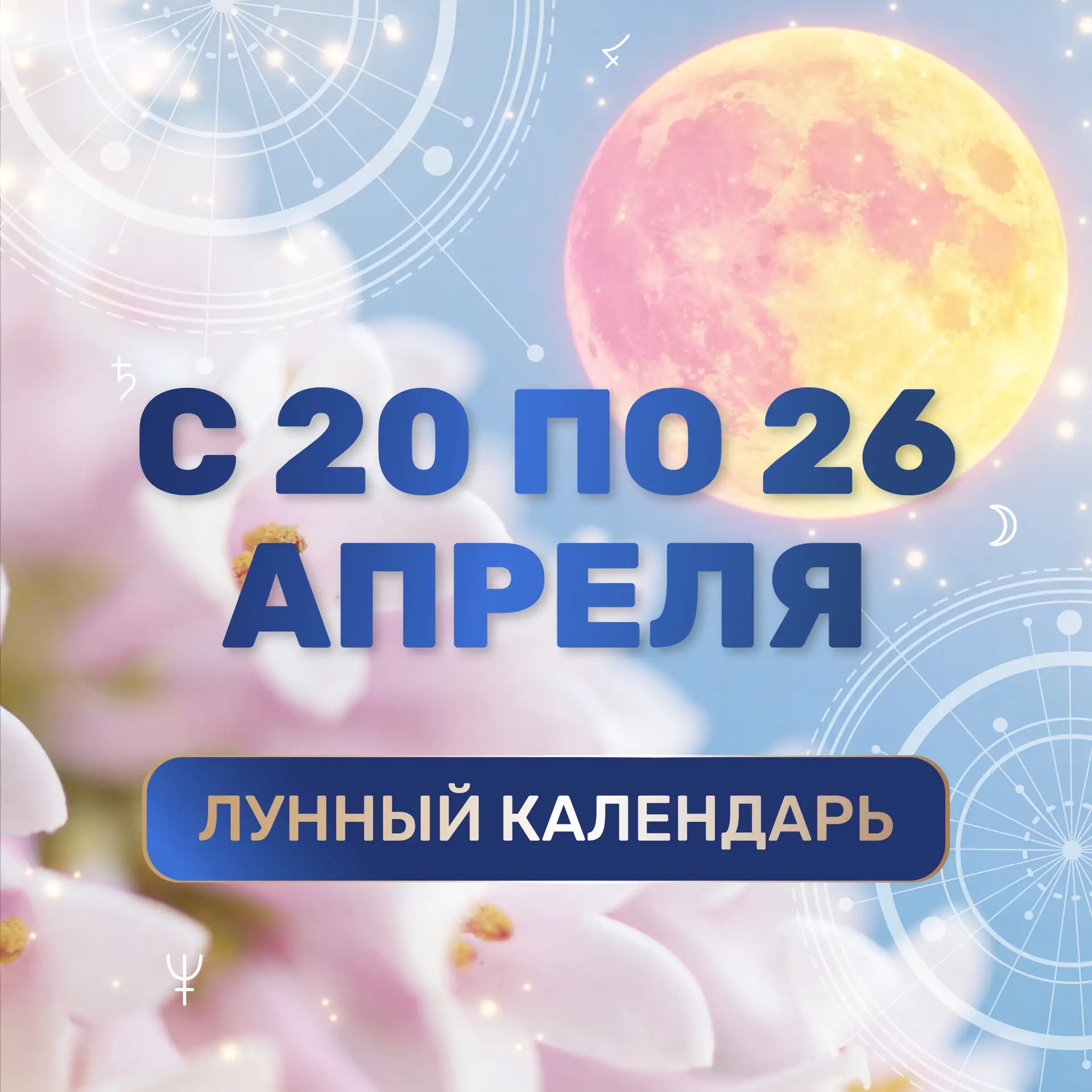 Какой день лучше всего подходит для начала новых дел?  А когда хорошее время для спокойного общения 