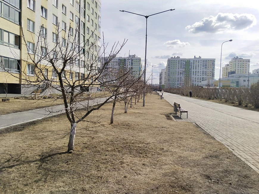 В Академическом начался месячник чистоты! 🌱  Сегодня в Екатеринбурге официально стартовал месячник ч