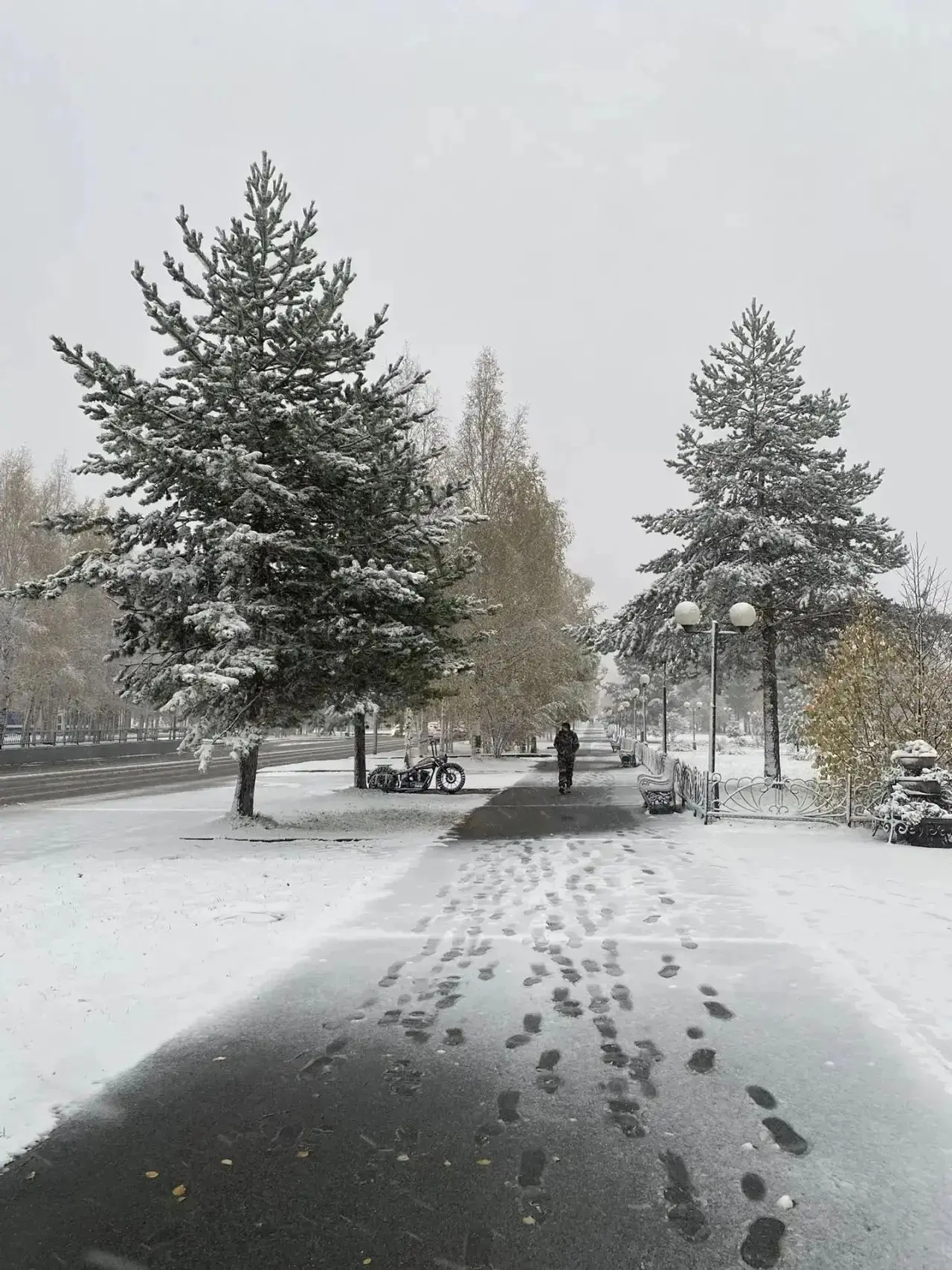 Мы снова к вам со своим снежным 😨🥶
