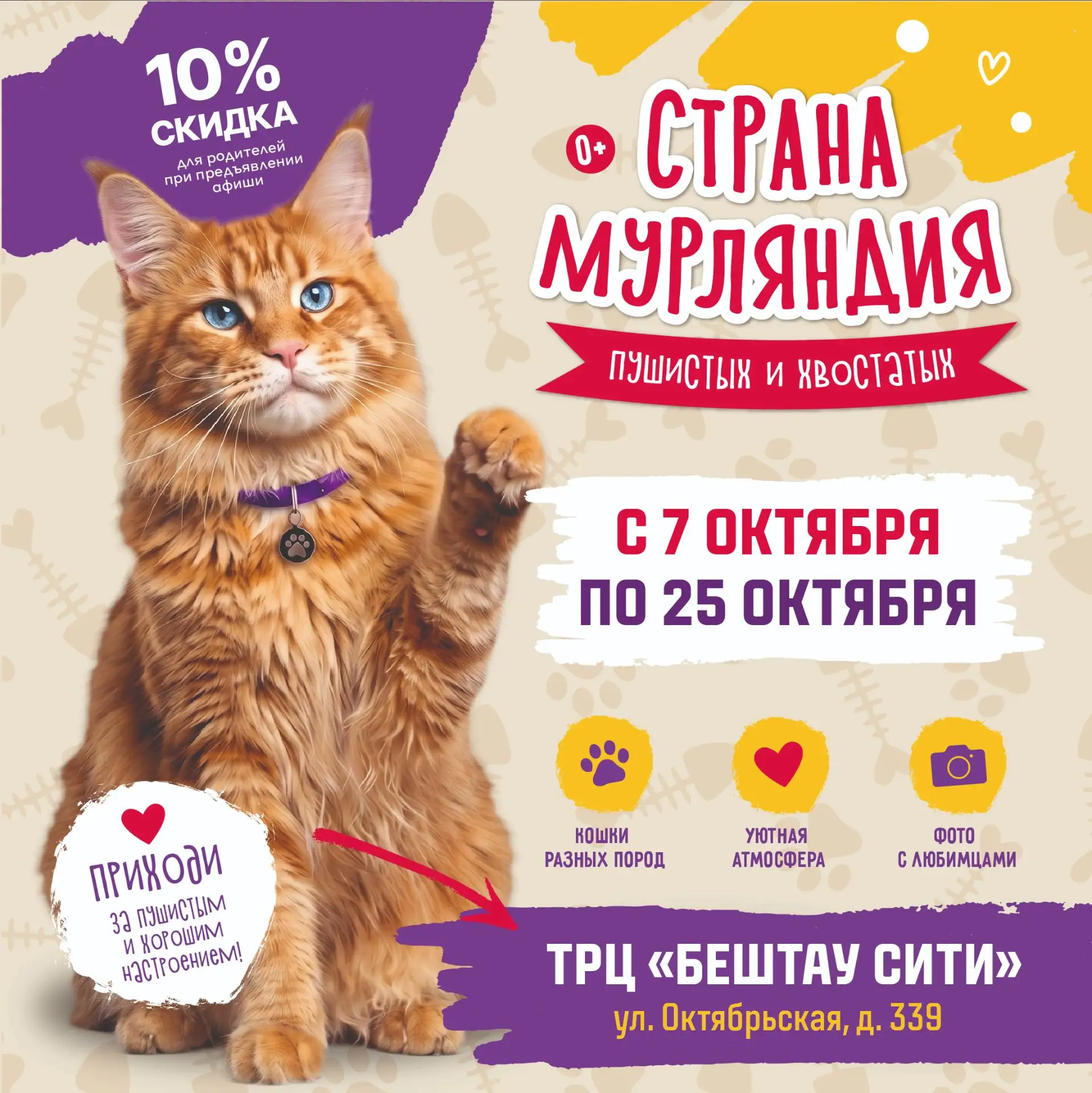 ЭТО – «МУРЛЯНДИЯ»!!!                                                                   ...