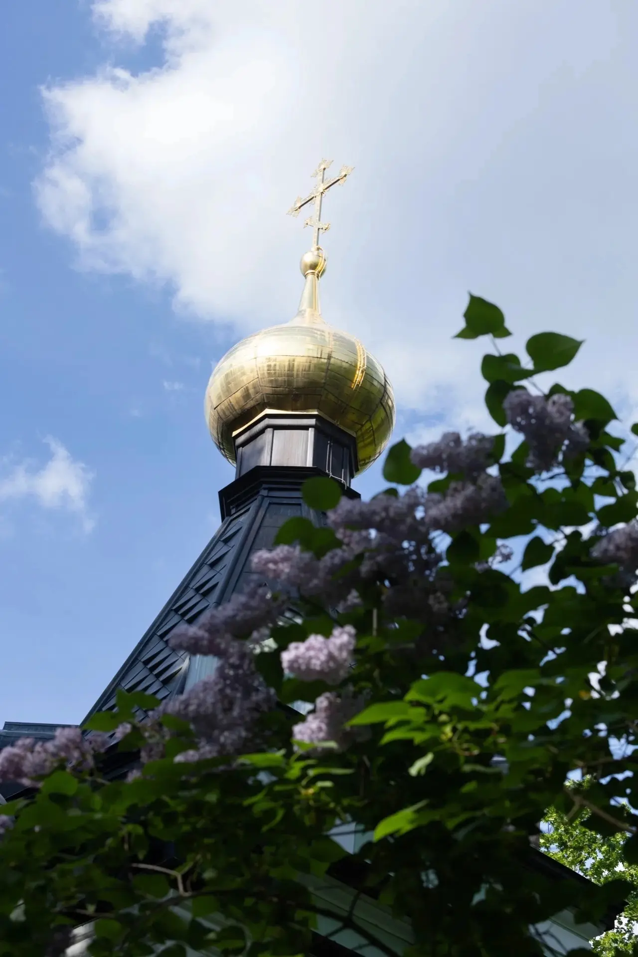 #чудеса ✨БЛАЖЕННОЙ КСЕНИИ 
 
🌸 Каждый день по молитвам святой Ксении Петербургской совершаются наст