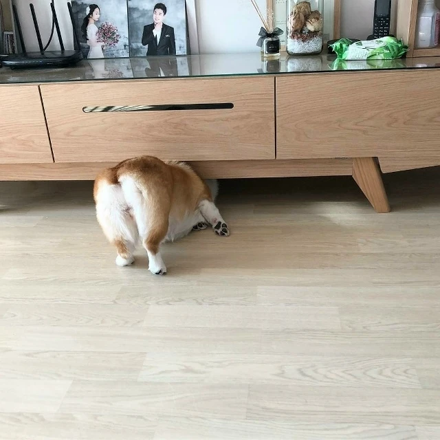 Кто не спрятался, я не виноват!😁