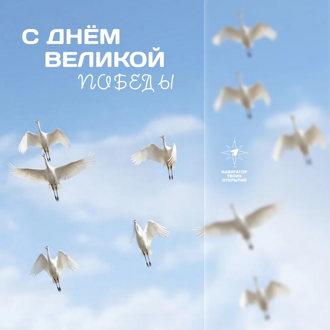 🕊️ День Победы!  9 мая 1945 года Великая Отечественная Война закончилась победой советских войск. Эт