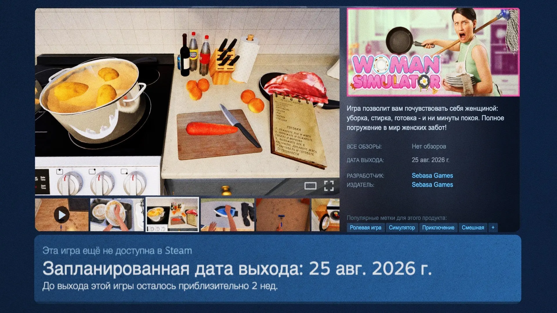 «Симулятор женщины» получил дату релиза в Steam.

Игра выйдет 25 августа.

Внутри — готовка, уборка,