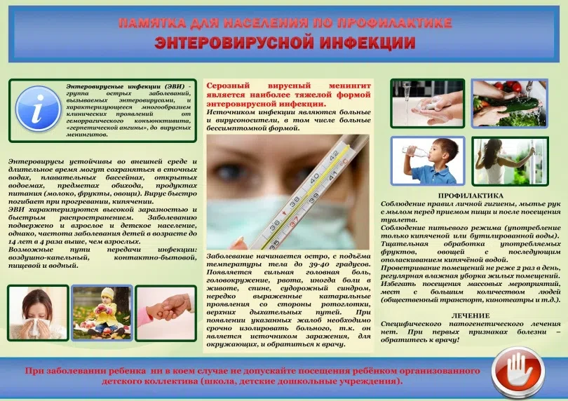 ❗Памятка родителям об энтеровирусных инфекциях