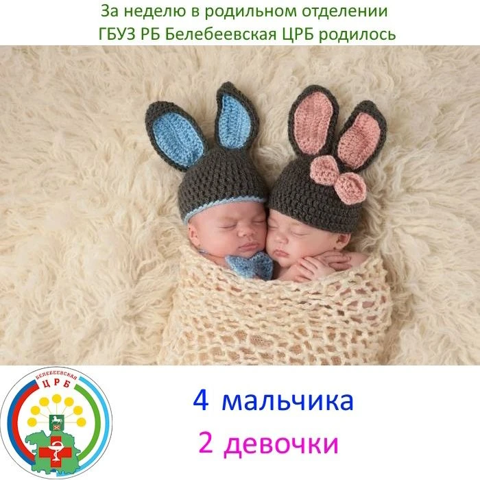 Рождаемость за 12.08-19.08.2026 г.