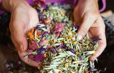 🌿 СБОР ТРАВ ПРИ РАССТРОЙСТВЕ КИШЕЧНИКА