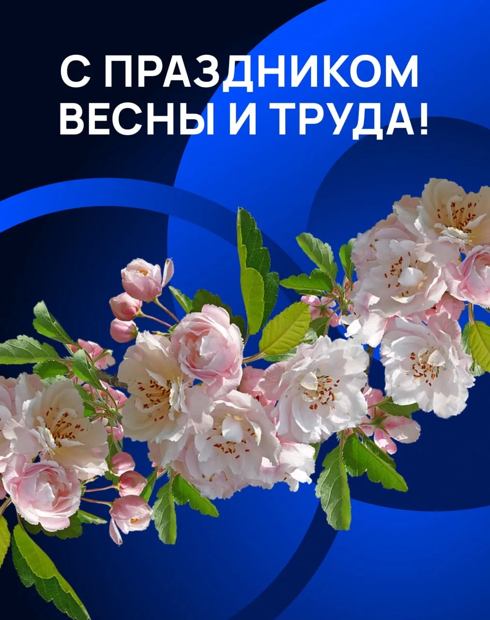 Дорогие друзья! Примите искренние поздравления с Первомаем!  Этот день символизирует солидарность и 